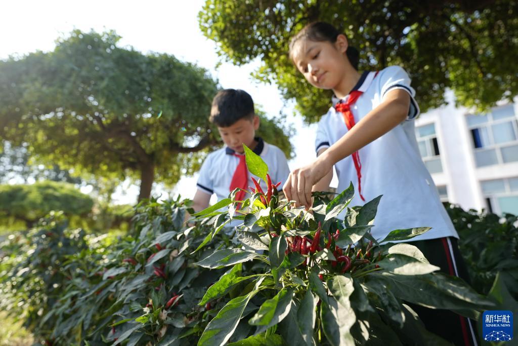棋牌游戏推荐